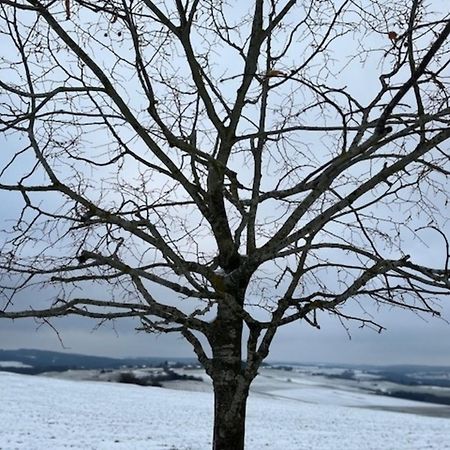 Vila Eifel-Bau-Traum Schlich Wershofen Exteriér fotografie
